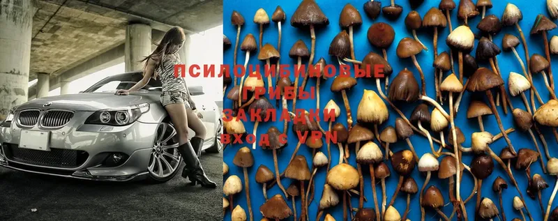 Псилоцибиновые грибы MAGIC MUSHROOMS  Азов 